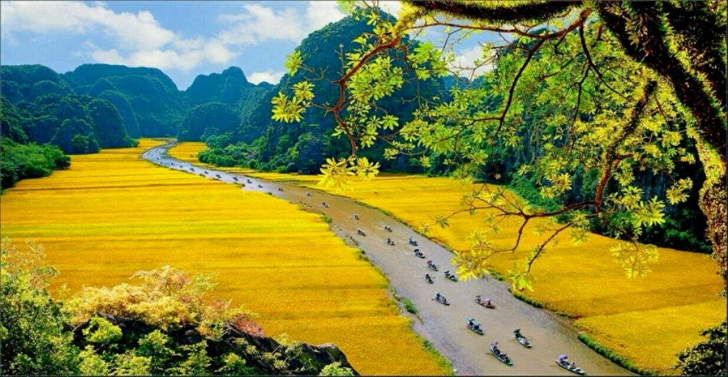 NinhBinh