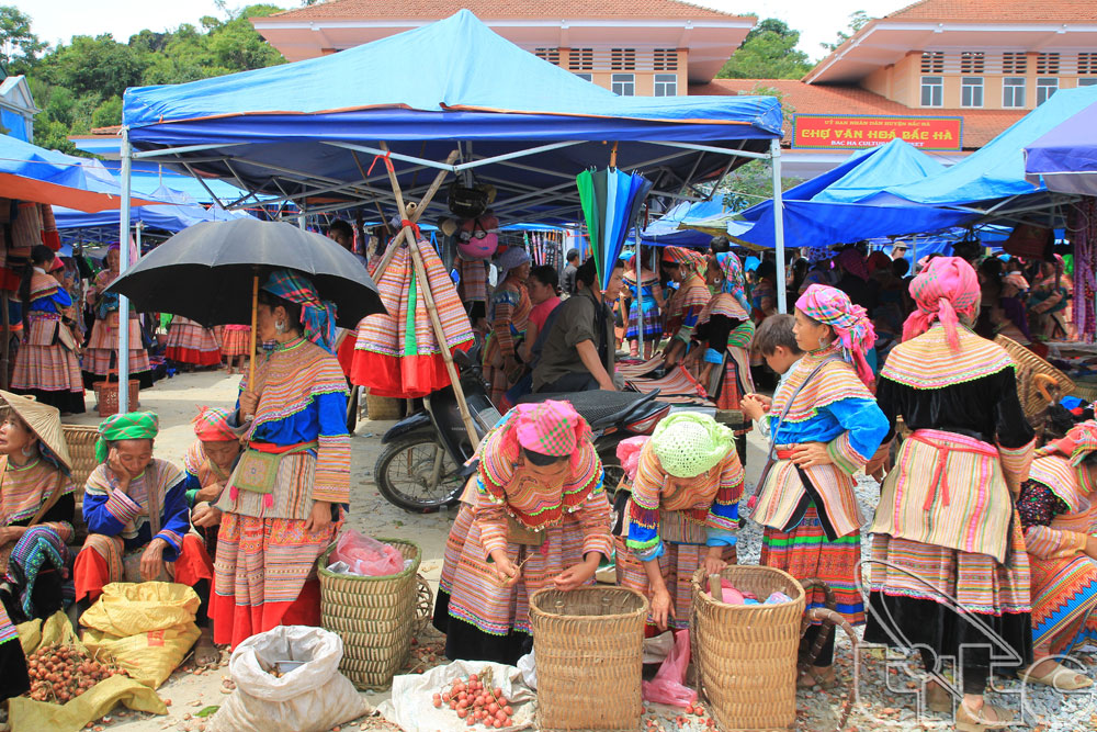 Hanoi to Sapa Experience the Magic of Bac Ha Market