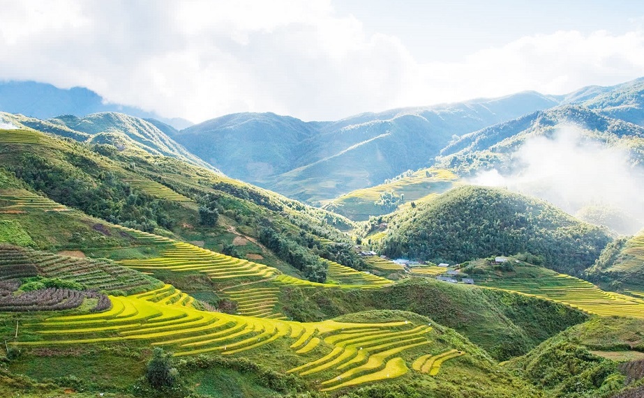 Sapa trekking tour 2 days rice terraces Muong Hoa Valley