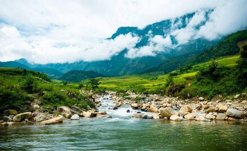 Sapa Vietnam Ancient Tea Hills of Suoi Giang