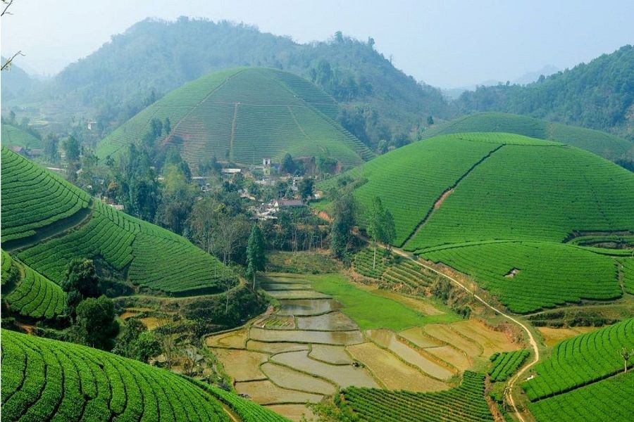 Sapa Vietnam Ancient Tea Hills of Suoi Giang